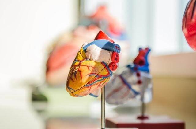 Tips Menjaga Kesehatan Sistem Kardiovaskuler Bersama SehatQ