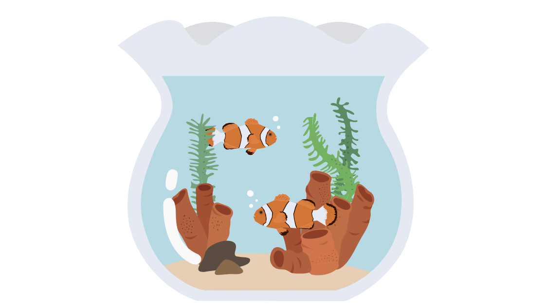 Menyaksikan Ikan Hias yang Bertingkah Ajaib dalam Akuarium