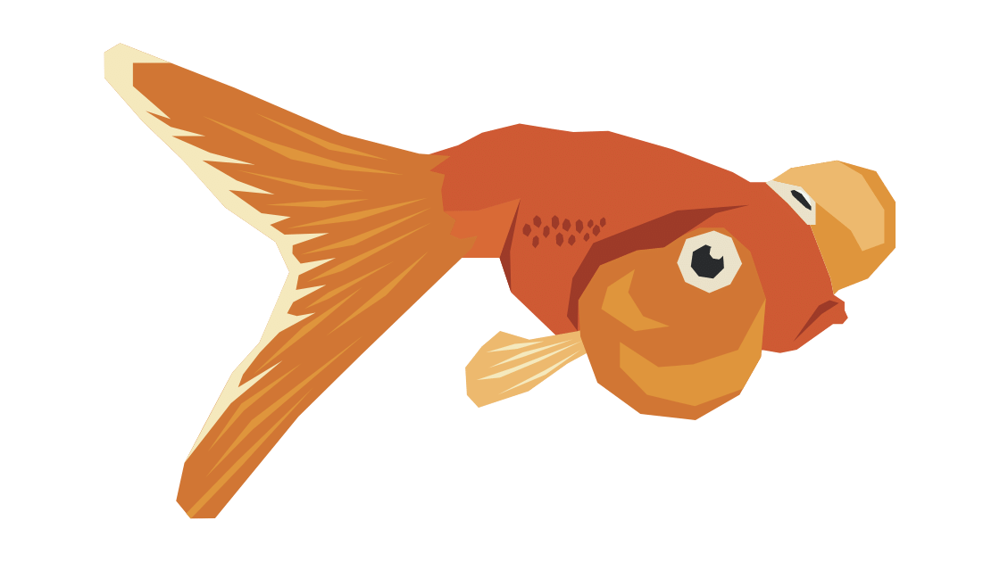Memahami Perilaku Ikan Hias untuk Merawat dengan Bijaksana